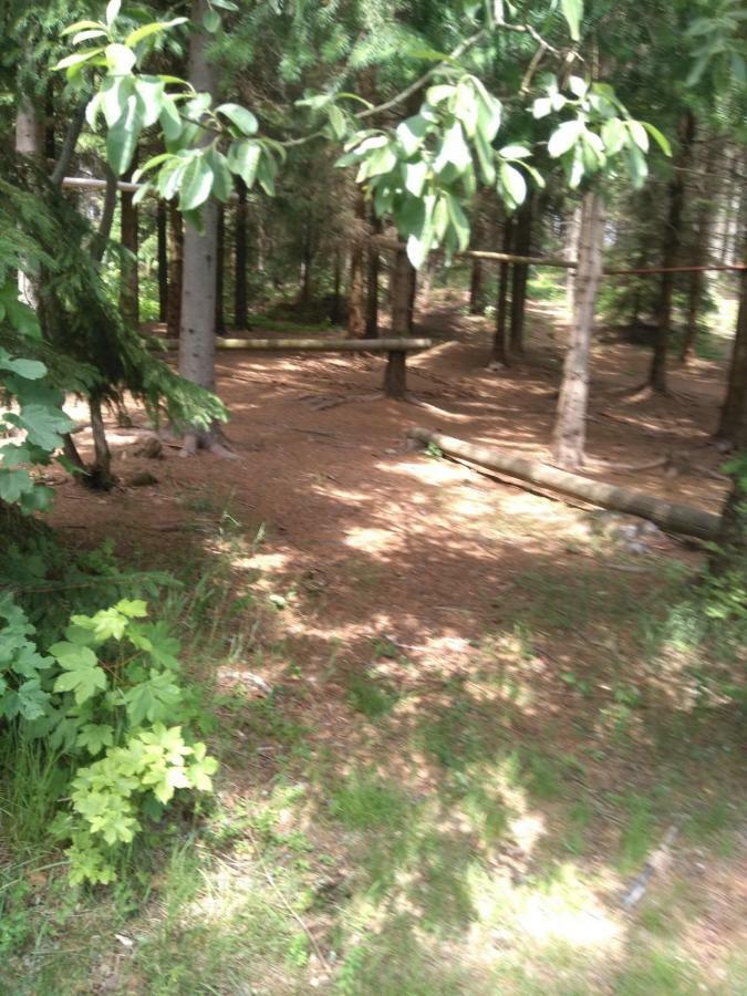Penzion Borovice Josefŭv Dŭl Exteriör bild